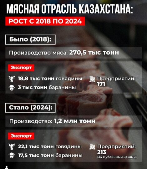 Как изменилась мясная отрасль Казахстана за 6 лет