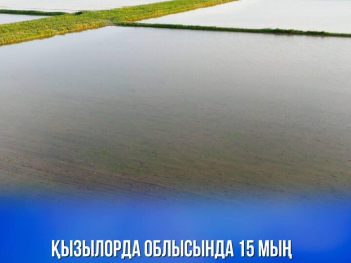 Қызылорда облысында 15 мың гектардан астам егістік жер қалпына келтірілді