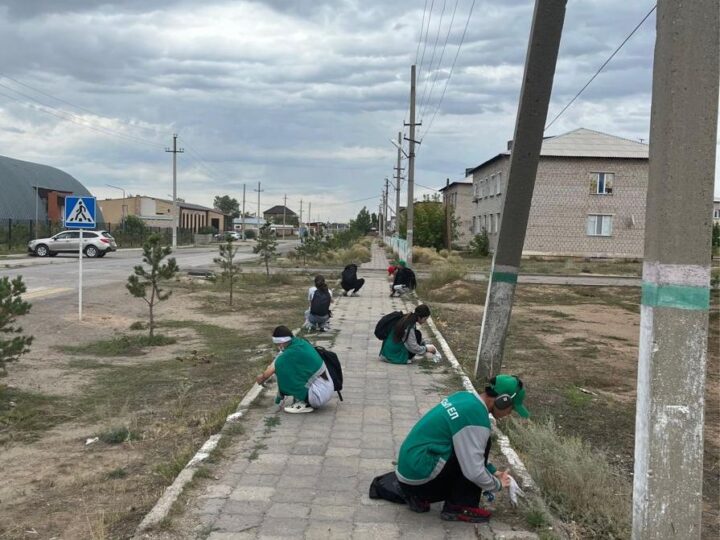 «Таза Қазақстан» акциясы Жаңаарқада жалғасуда