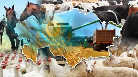Жаңаарқа экономикасының дамуы: ауыл шаруашылығы – негізгі тірек
