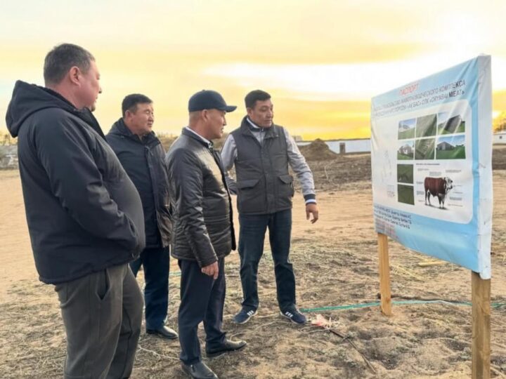 АУДАНДА АУЫЛ ШАРУАШЫЛЫҒЫН ДАМЫТУҒА БАҒЫТТАЛҒАН ИНВЕСТИЦИЯЛЫҚ ЖОБАЛАР ЖҮЗЕГЕ АСЫРЫЛУДА