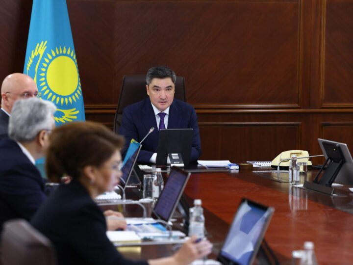 Артық қаржыландыруды тоқтату қажет: Олжас Бектенов жекеменшік мектептер мен медициналық ұйымдарды субсидиялаудағы алаяқтыққа қарсы күрес жөніндегі шараларды пысықтауға бір апта уақыт берді