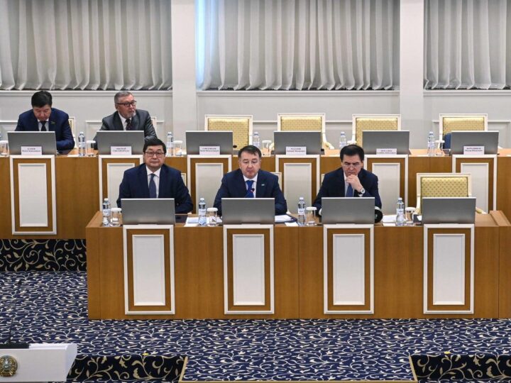 Елнұр Бейсенбаев: Конституциялық реформа саяси партиялардың институционалдық рөлін арттырады