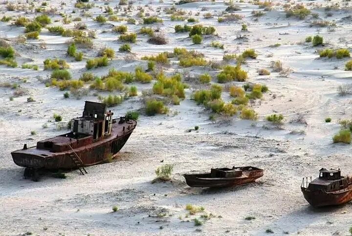 Халықаралық экология саммитінде Арал мәселесі талқыланады – Президент