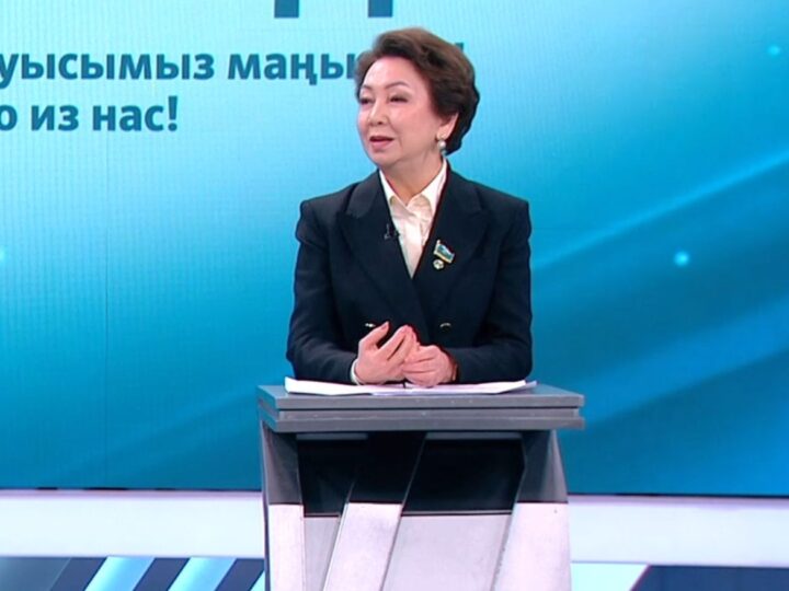 Дания Еспаева: Мемлекет кәсіпкердің бизнесі мен меншігін қорғауға міндетті