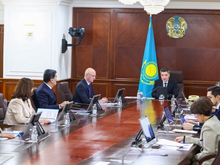 Экологиялық мәдениет қалыптастыру Конституцияның түбегейлі принциптері қатарында: Үкіметте Президенттің «Таза Қазақстан» бастамасын жүзеге асыру барысы қаралды