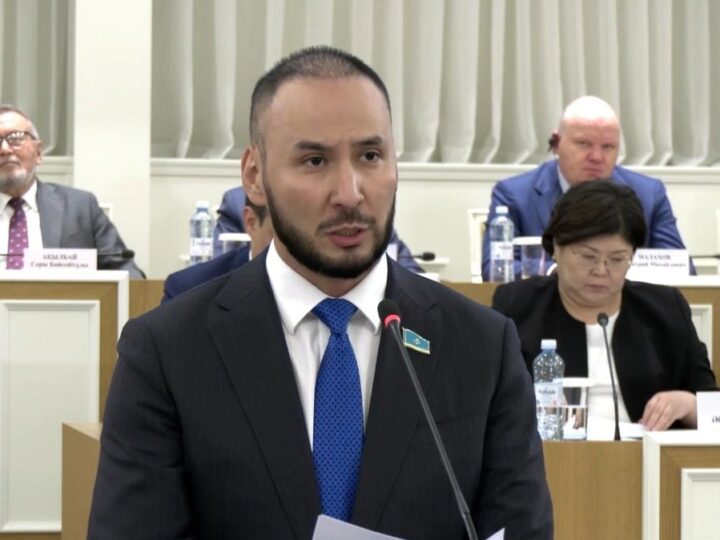 Respublica партиясының жетекшісі жаңа Конституцияның жобасын референдумға шығаруды ұсынды