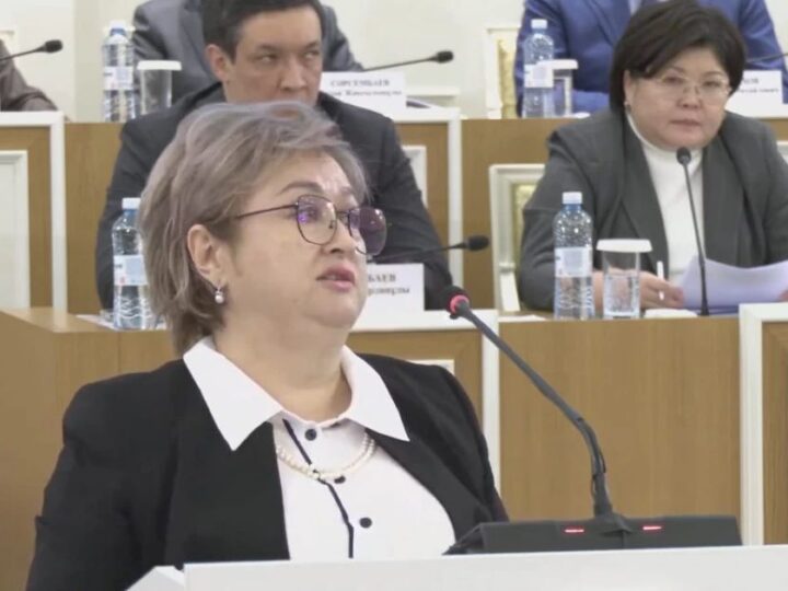 Индира Әубәкірова: жаңа Конституция адам құқықтары мен азамат құқықтарының аражігін айқын белгілейді