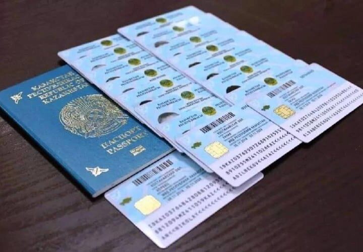 Қос азаматтықты болдырмау туралы талап нақты сөз тіркесімен жазылды