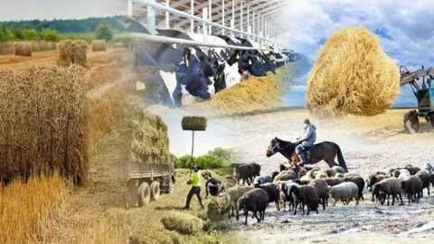 Ауыл еңбегі – экономиканың тірегі