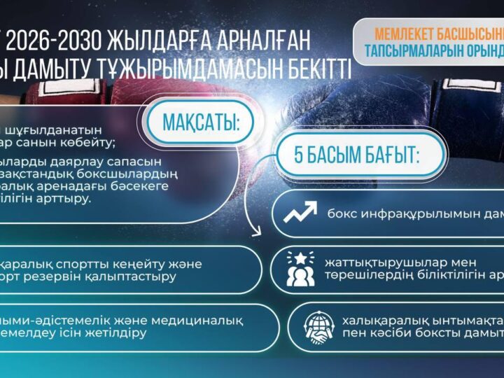 Үкімет 2026–2030 жылдарға арналған боксты дамыту тұжырымдамасын бекітті