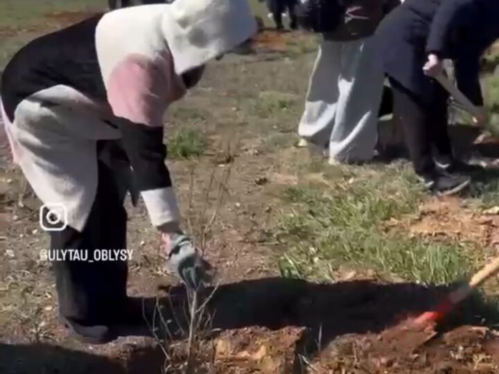 Жошы хан кешенінде «Таза Қазақстан» аясында ағаш отырғызылды