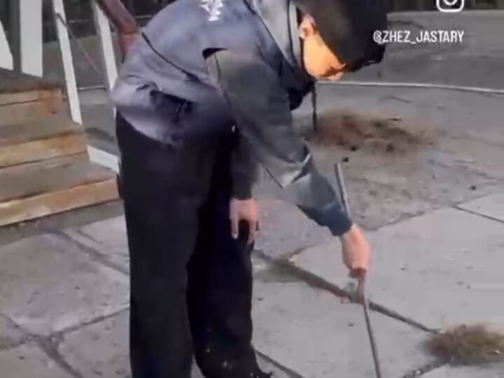 ТАЗА ҚАЗАҚСТАН | «Таза аула» жобасы