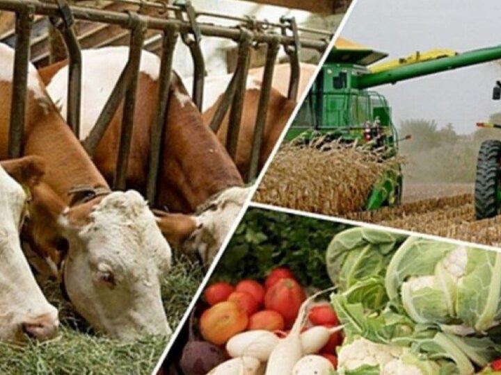 Агросектор – тұрақты өсім негізі