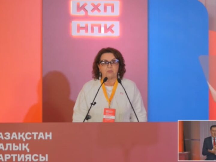 Человек-паук на крыше вместо реальных решений: Смирнова о правых популистах